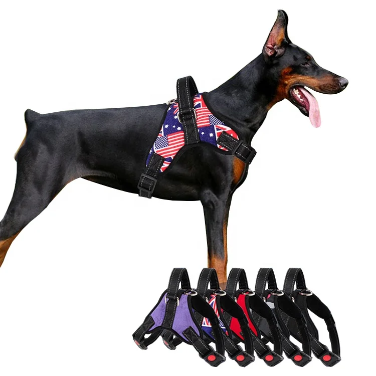 Wholesale Adjustable Nylon No Pull Custom Dog Harness Vest with Handle for Large Dog
Wholesale Adjustable Nylon No Pull Custom Dog Harness Vest with Handle for Large Dog