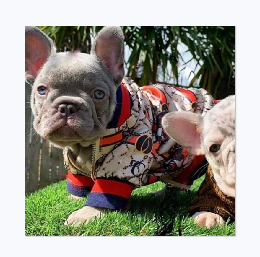 Trendy Pattern Classic Design Fashion Retro Luxury Brand Customized Pet Clothes G Dog Jacket
Trendy Pattern Classic Design Fashion Retro Luxury Brand Customized Pet Clothes G Dog Jacket