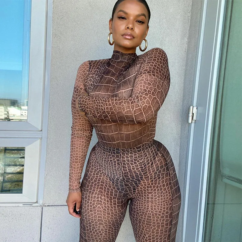 Printed See Through Sheer Mesh sexy Jumpsuit 2 Piece Set Hollow Out Long Sleeve Casual Women Romper Tracksuit Club Bodysuits
Printed See Through Sheer Mesh sexy Jumpsuit 2 Piece Set Hollow Out Long Sleeve Casual Women Romper Tracksuit Club Bodysuits