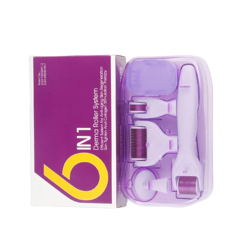 Factory Price Derma Rolling System 6 In 1 Derma Roller Kit Dermaroller Set For Skin Care
Factory Price Derma Rolling System 6 In 1 Derma Roller Kit Dermaroller Set For Skin Care