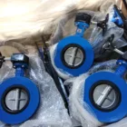API609 ductile iron/cast iron/stainless steel body U-section butterfly valve 125LB 150LB
