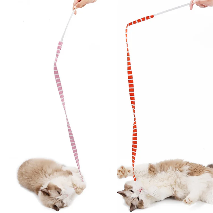 Funny stripes environmentally friendly pet interactive toys cat stick toy bell cat toy
Funny stripes environmentally friendly pet interactive toys cat stick toy bell cat toy