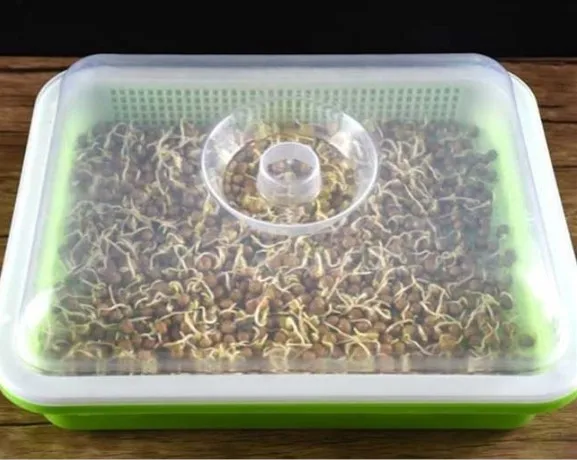 Seed Sprouter Tray Wheatgrass Grower with Lid Germination Kit Extra Small Hole for Seed Germination, Green and white
Seed Sprouter Tray Wheatgrass Grower with Lid Germination Kit Extra Small Hole for Seed Germination, Green and white