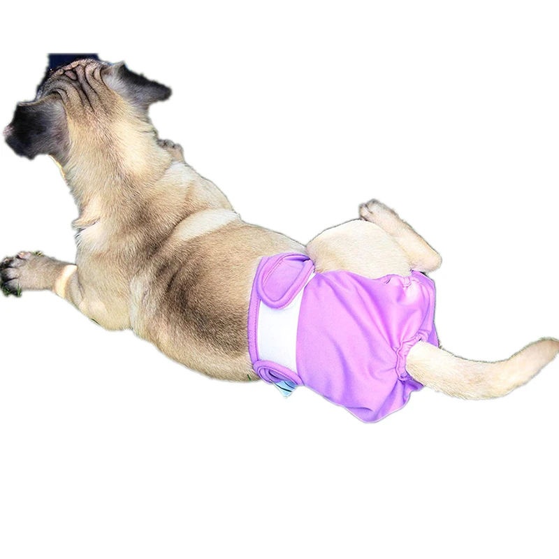Pet Accessories Dog Diapers Nappies Washable Reusable Cloth Female Dog Diapers In Bulk Pet Supplies, As picture
Pet Accessories Dog Diapers Nappies Washable Reusable Cloth Female Dog Diapers In Bulk Pet Supplies, As picture