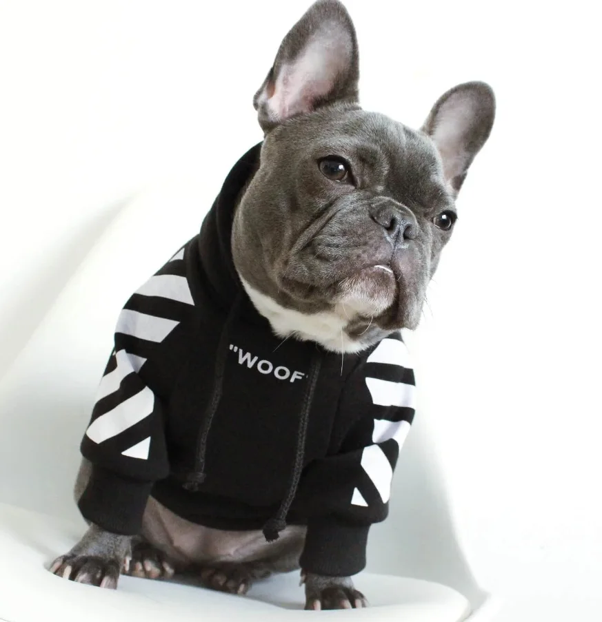 Hot Selling Luxury Pet Clothes Funny Hoodies Fashion Pet Apparel Accessories Woof Printed Outwear Jacket Warm Comfy For Dogs
Hot Selling Luxury Pet Clothes Funny Hoodies Fashion Pet Apparel Accessories Woof Printed Outwear Jacket Warm Comfy For Dogs