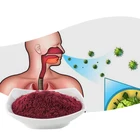 Pure Powder Powder AMULYN Pure Natural Improve Immunity Organic Black Elderberry Extract Powder
