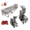 Belyoo pineapple apple natural mango juicer fruit juice processing orange apple tomato fruit mini juice production line