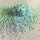 New Arrival Factory Bulk Wholesale Poly Nail Art Decoration Color Shifting Chunky Mix Glitter