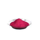 Red Dyes High Washing Fastness Deep Red WF-PUD-B Disperse Dyes For PES PES/EL Fabrics