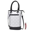 New Travel Padded 2 Bottle Wine Champagne Cooler Bag with Handle and Adjustable Shoulder Strap Insulated Wine Carrier Tote Bag