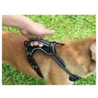 Magnetic Connection Neoprene Collar Dog Harness Lead K9