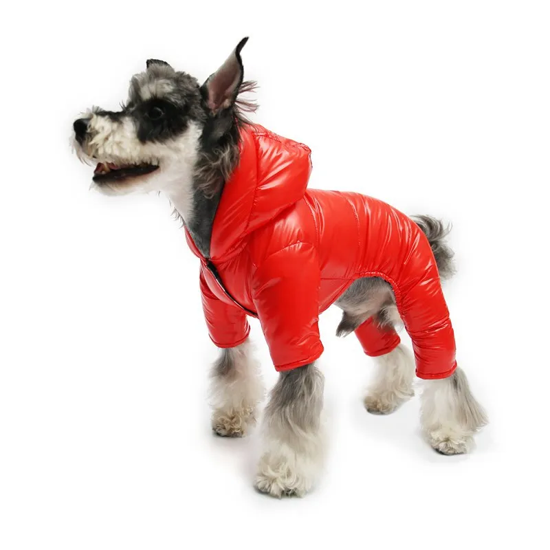 Pet clothes 2020 winter winter warm thickened dog down four legs dog clothes pet apparel accessories dogs apparel, Many colors
Pet clothes 2020 winter winter warm thickened dog down four legs dog clothes pet apparel accessories dogs apparel, Many colors