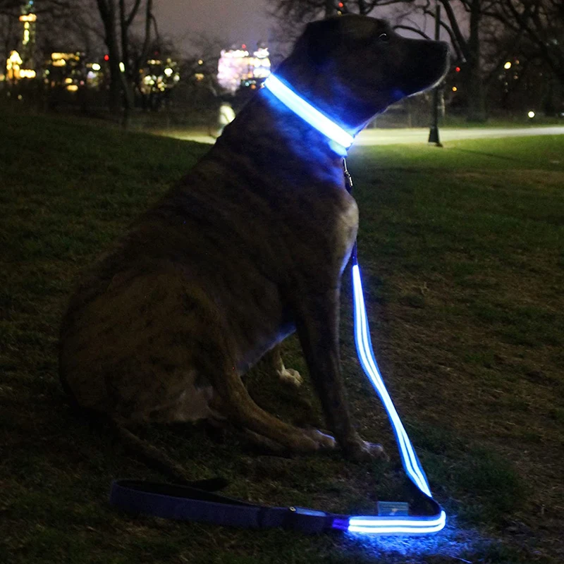 Night Safety Pet Products Led Dog Glow In Dark Adjustable Luminous Collar Light Up Dog Leashes, As pictures
Night Safety Pet Products Led Dog Glow In Dark Adjustable Luminous Collar Light Up Dog Leashes, As pictures