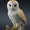 /product-detail/veronese-selection-handcraft-interior-display-barn-owl-standing-on-brach-resin-figurine-wildlife-62260634986.html