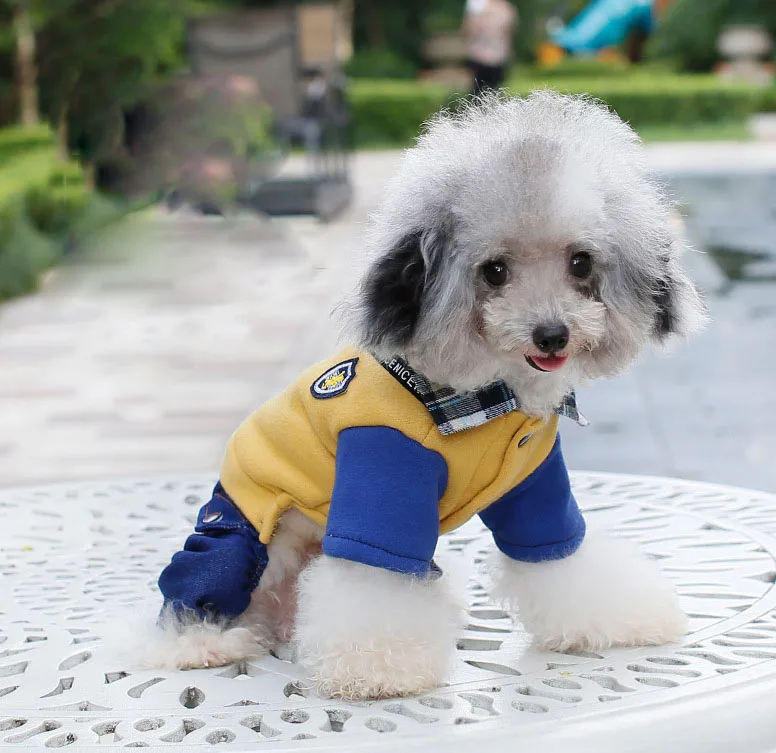 Personalized Custom Logo OEMNew Explosion Dog Accessories Animal Thick Cheap Pet Clothes, Yellow,gray
Personalized Custom Logo OEMNew Explosion Dog Accessories Animal Thick Cheap Pet Clothes, Yellow,gray