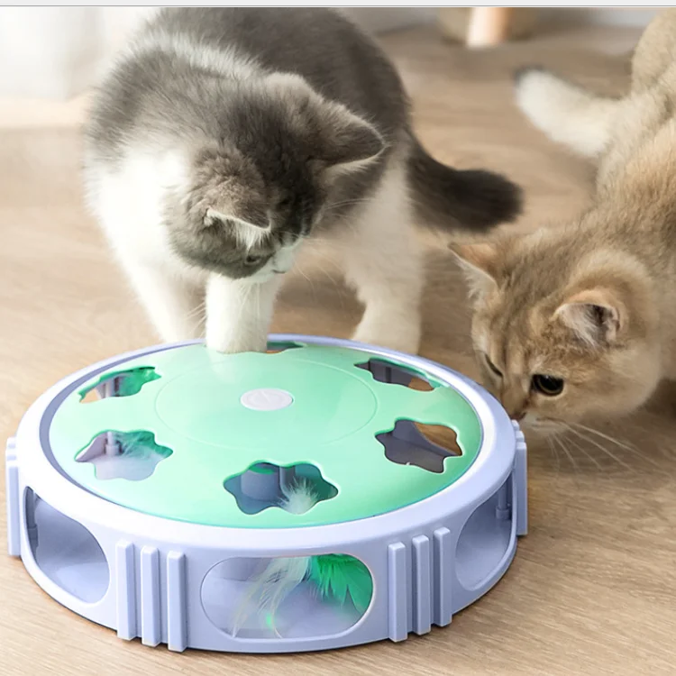 Auto-rotating Feather Cat Fitness Toy Interactive Cat Indoor Entertainment Luminous Turntable Toy
Auto-rotating Feather Cat Fitness Toy Interactive Cat Indoor Entertainment Luminous Turntable Toy