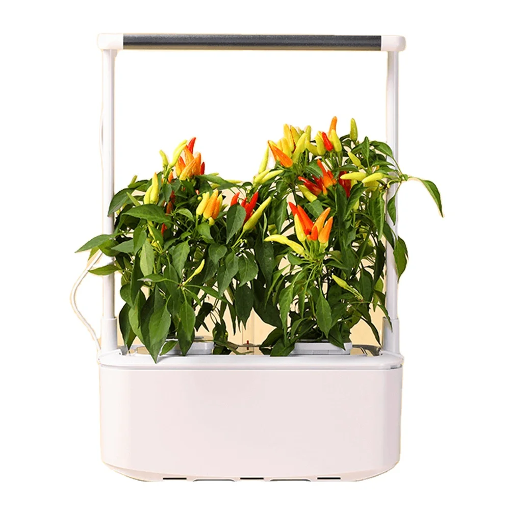 China cheap smart garden vertical cultivation indoor kitchen garden commercial hydroponics grow kits wholesale, White
China cheap smart garden vertical cultivation indoor kitchen garden commercial hydroponics grow kits wholesale, White