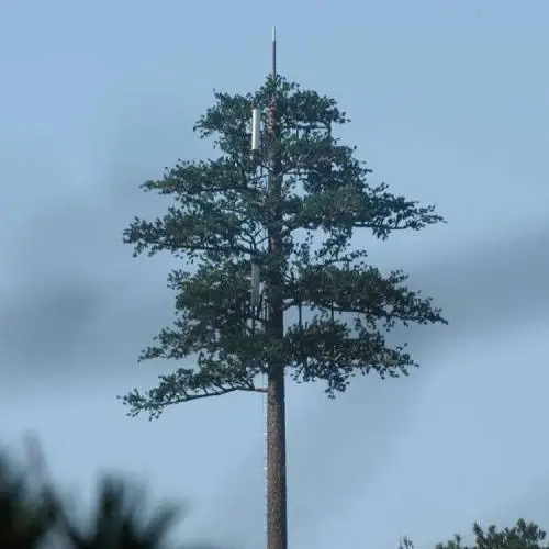 tower 6.jpg