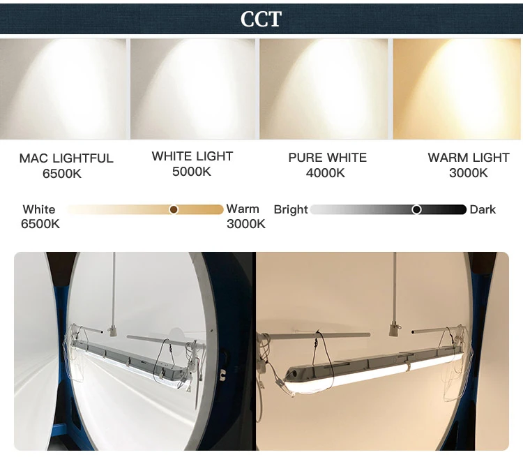 Cold Room Storage, 4ft, 5ft, 8ft, Ceiling - detail 8