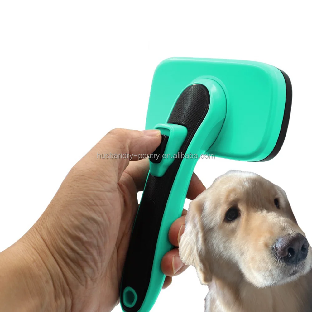 Needle Hair Comb For Cats Retractable Pet Open Knot Combs Dog Grooming Hair Removers Dog Supplies
Needle Hair Comb For Cats Retractable Pet Open Knot Combs Dog Grooming Hair Removers Dog Supplies