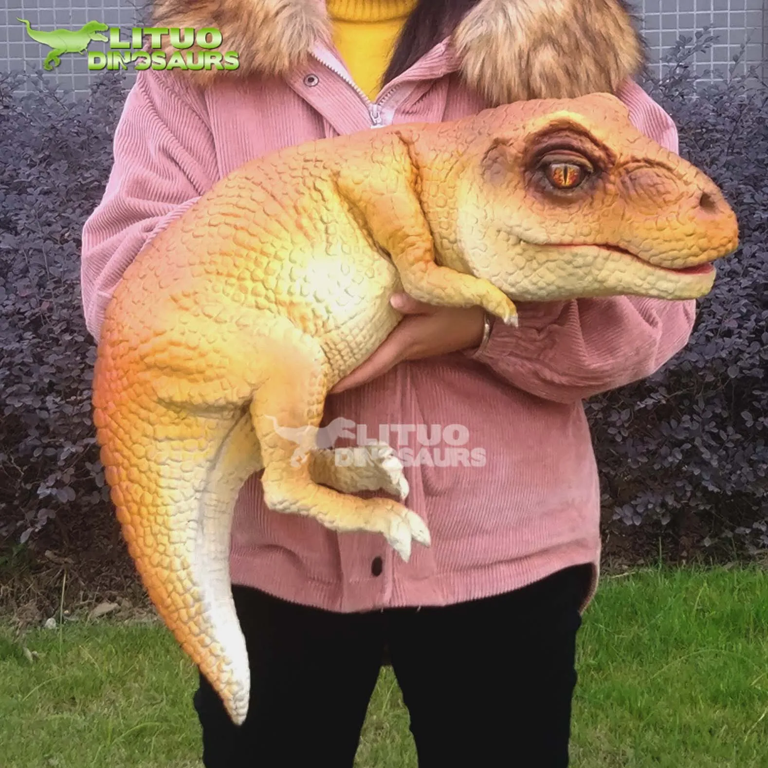 恐龙手婴儿 t-rex 木偶道具