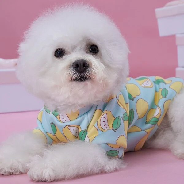Lemon Print Pet Sweatshirt Tank Top Cartoon Graphic Pet dog cat princess skirt Tank Top
Lemon Print Pet Sweatshirt Tank Top Cartoon Graphic Pet dog cat princess skirt Tank Top