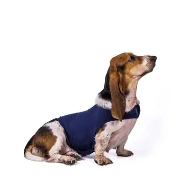 Hot Sale Comfortable Custom Logo Blank Costume Surgical Recovery Pet Clothes Shirts Bulk Surgery Dog Apparel
Hot Sale Comfortable Custom Logo Blank Costume Surgical Recovery Pet Clothes Shirts Bulk Surgery Dog Apparel
