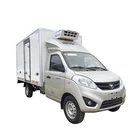 Frozen refrigerated cold room sliding door van truck for meat and fish