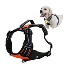High Strength Customized Service Dog Harness,Convenient Using Dog Harness No Pull In Nylon Webbing