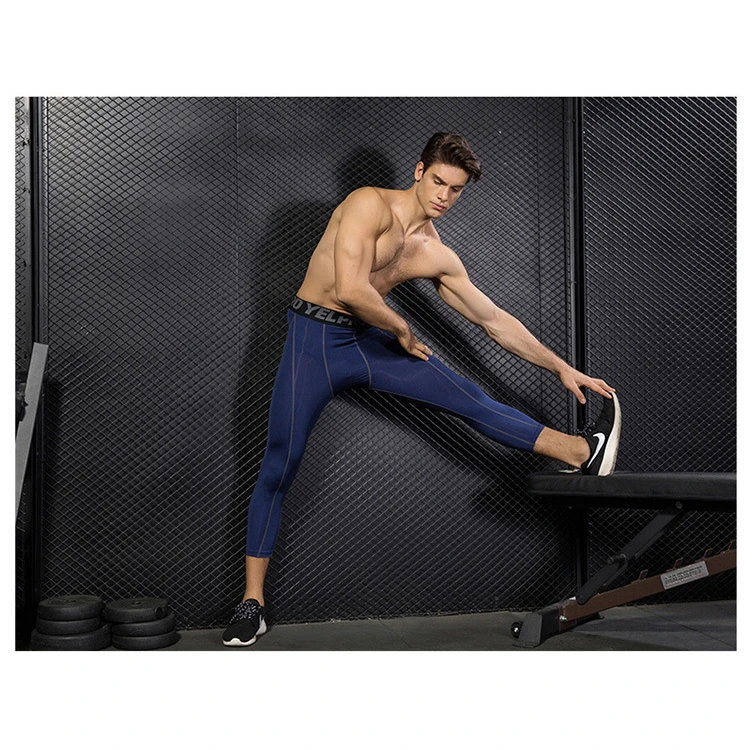 Apprael Wholesales Running Clothing Quick Dry Customize Fitted Legging Private Label Pants Gym Plus Size Men Fitness & Yoga Wear, Picture
Apprael Wholesales Running Clothing Quick Dry Customize Fitted Legging Private Label Pants Gym Plus Size Men Fitness & Yoga Wear, Picture