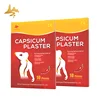 /product-detail/hot-sale-analgesic-pain-relief-capsaicin-patch-porous-capsicum-plaster-62325737357.html
