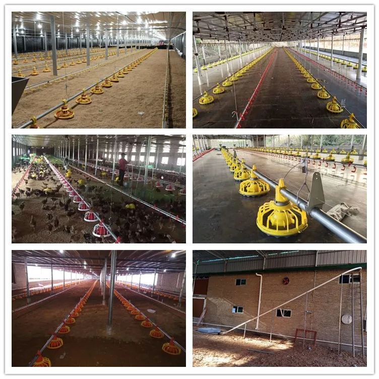 Automatic farm ground flooring system ground feeding and drinking system