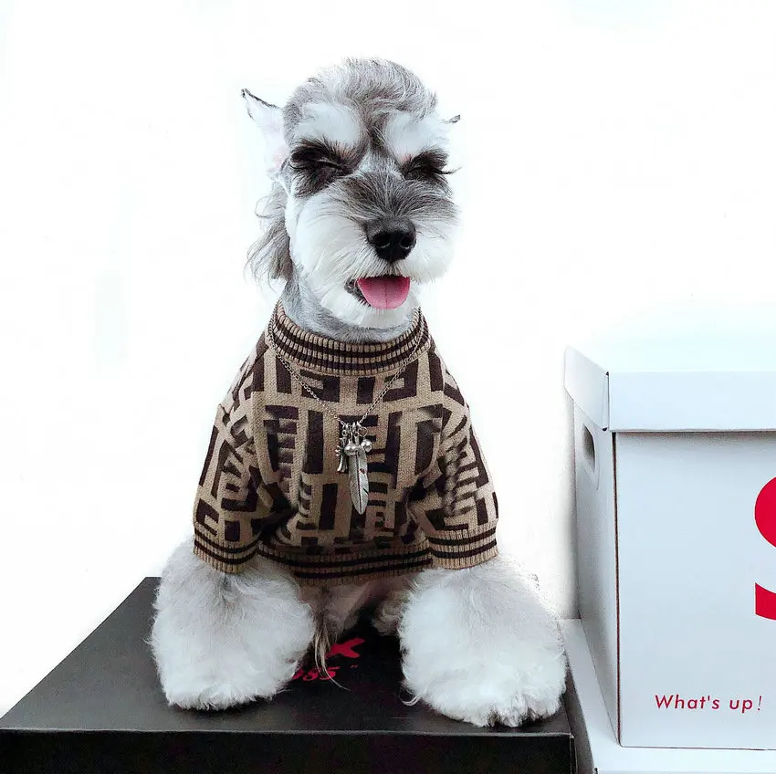 Fashion Logo Pet Sweater Ins Cat Clothes Dog Clothes Popular Fall Winter New Warm Pets Coat Light Color
Fashion Logo Pet Sweater Ins Cat Clothes Dog Clothes Popular Fall Winter New Warm Pets Coat Light Color