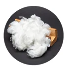 6D psf / polyester fiber for filling in white color