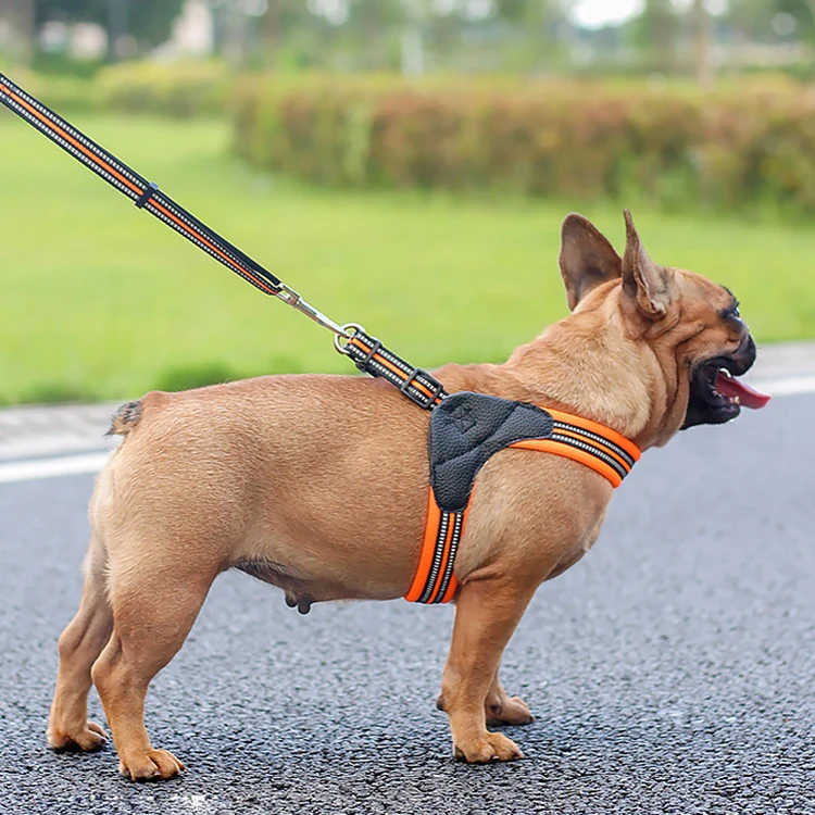 Nylon Large Big Reflective pet leash and collar No Pull Pet Harness for dog, Black;blue;orange;green
Nylon Large Big Reflective pet leash and collar No Pull Pet Harness for dog, Black;blue;orange;green
