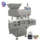 99.5% Accuracy Rate Of RQ-DSL-24 Electronic Tablet Capsule Counting Machine For Pharmaceutical