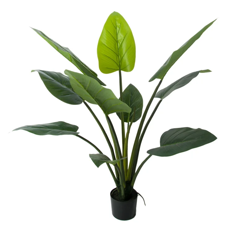 Hand Feeling Cloth indoor and outdoor decoration big leaf artificial green vine velvet Artificial tree
Hand Feeling Cloth indoor and outdoor decoration big leaf artificial green vine velvet Artificial tree