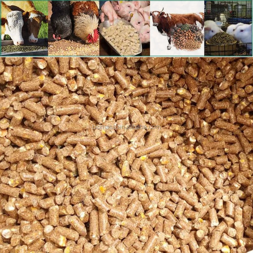 pellets.JPG