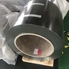 Pre Coated Cold Rolled Steel Coil Price Stainless Steel Color Coil