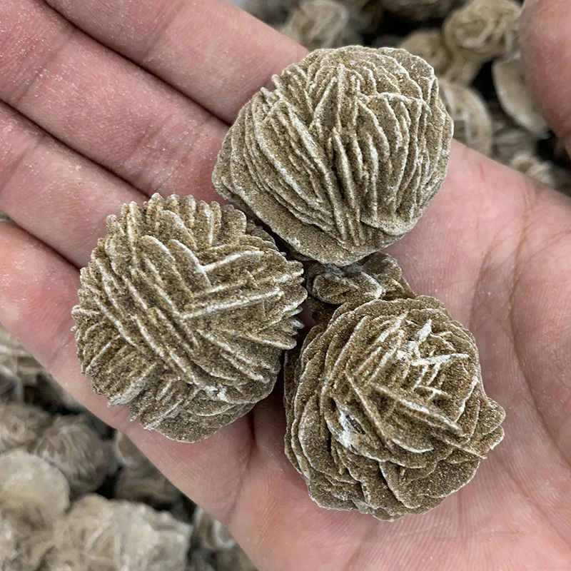 Wholesale Crystal Rock Stones Mineral Specimens Natural Healing Crystal Minerales Stones Desert Rose Stone for decoration
Wholesale Crystal Rock Stones Mineral Specimens Natural Healing Crystal Minerales Stones Desert Rose Stone for decoration