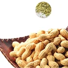 In Shell Nut Hot Selling Packed Peanut In Shell Different Flavor Nut Snacks Chinese Peanut Price
