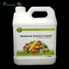 /product-detail/alga-fertilizer-brown-seaweed-liquid-extract-liquid-seaweed-foliar-spray-fertilizer-62262295529.html