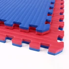 Taekwondo Mma Mat Multi-purpose 4cm Mma Taekwondo Used Eva Foam Gym Tatami Mat