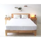 Hot Sale Winter Coral Fleece Fabric Waterproof Mattress Protector with TPU back