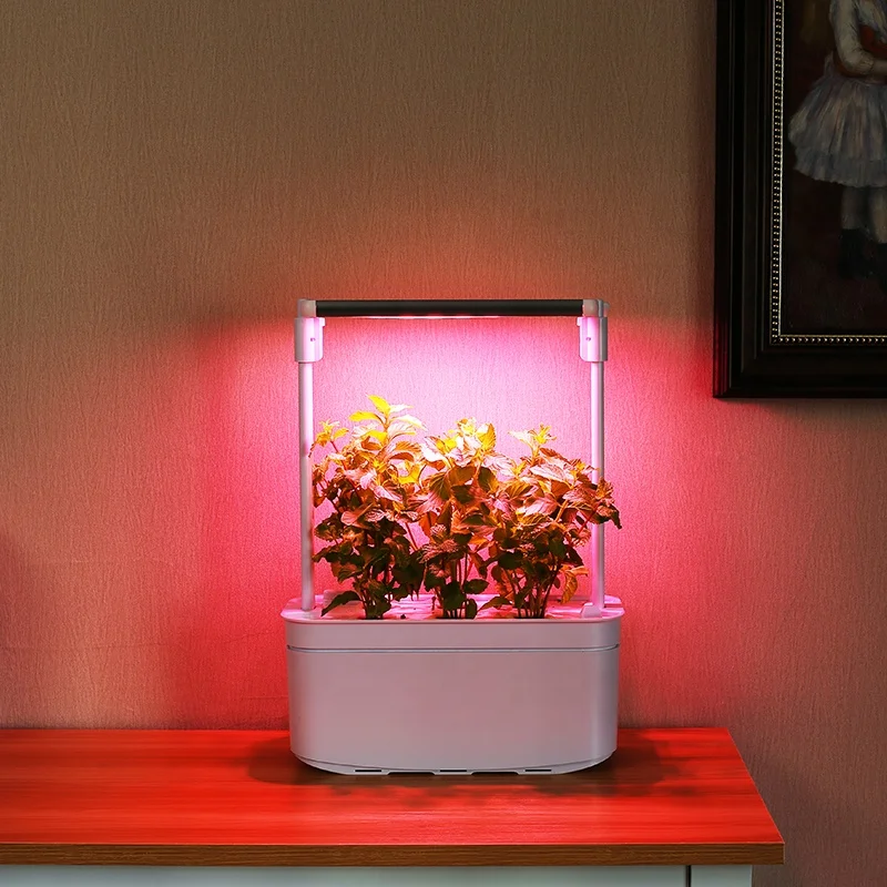 Transplanting Hydroponics Indoor 6 Pots Smart Mini Indoor Garden Hydroponics Water Pump Flower Pots Planters With LED Grow light
Transplanting Hydroponics Indoor 6 Pots Smart Mini Indoor Garden Hydroponics Water Pump Flower Pots Planters With LED Grow light