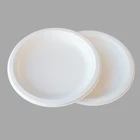 6 inches biodegradable disposable plates sets dinnerware