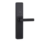 Alarm Door Lock Door Lock Lock Tuya Smart Number Touch Handle Alarm Intelligent Home Multipoint Door Lock