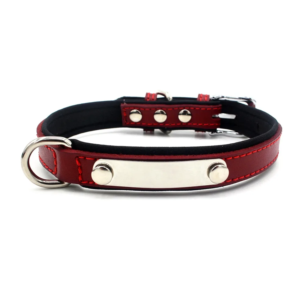 Stainless steel lettering pet dog collar fashion genuine leather collar comfortable diving cloth lining dog leash
Stainless steel lettering pet dog collar fashion genuine leather collar comfortable diving cloth lining dog leash