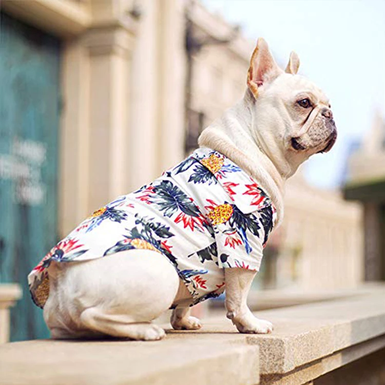 Hot Selling New Design Pet Summer Cloth Hawaiian Style Pet T-Shirt Clothes With Reasonable Price, Can be cusotm
Hot Selling New Design Pet Summer Cloth Hawaiian Style Pet T-Shirt Clothes With Reasonable Price, Can be cusotm