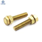 Custom Design Brass Nuts And Bolts M6 Full Thread Hex Bolt Nut